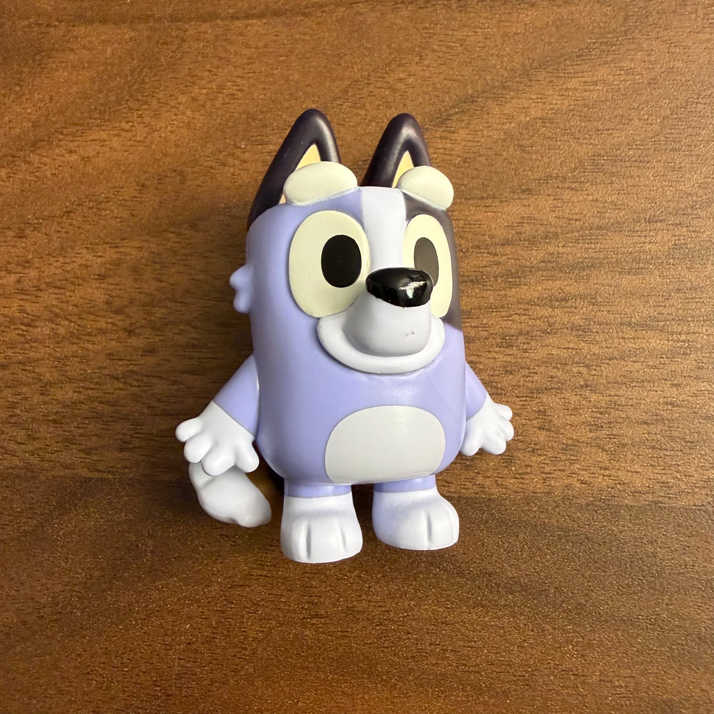 Bluey Mystery Mini - Socks